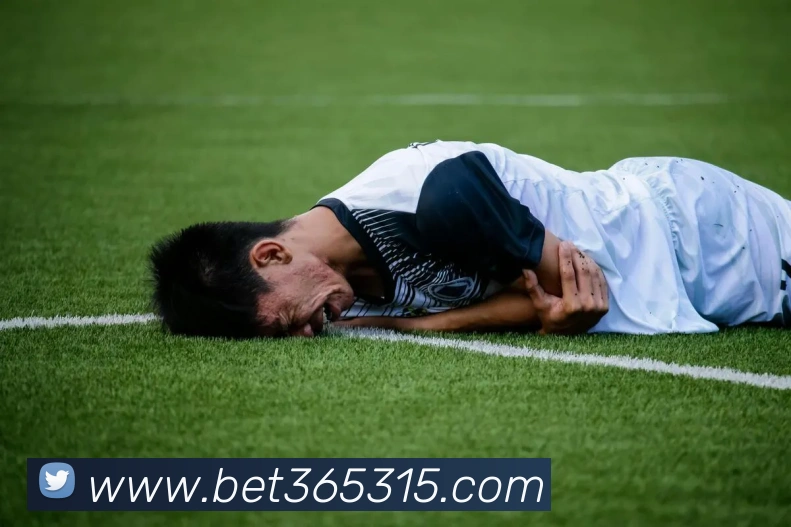 bet365中国官网服务体系